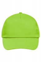 Lime-green (ca. Pantone 7487C)