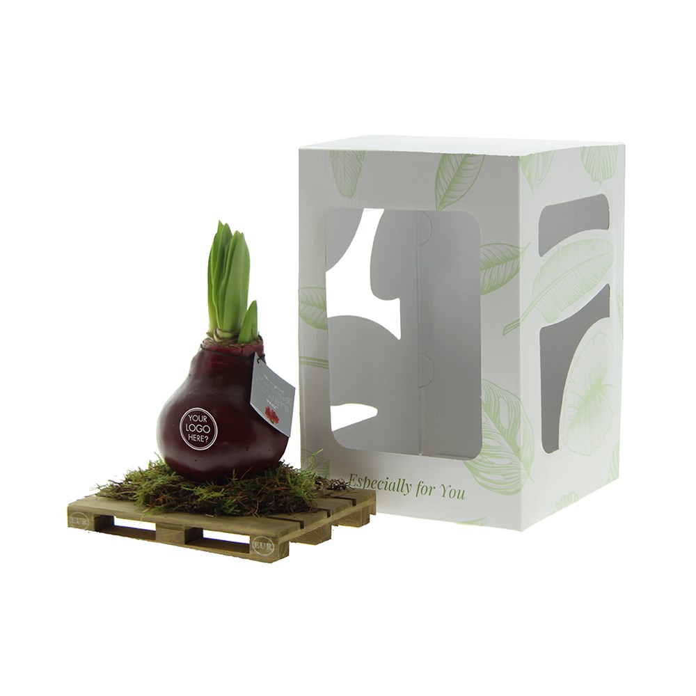 No Water Flowers® - Waxz® on pallet, In Geschenkbox, Schwarz