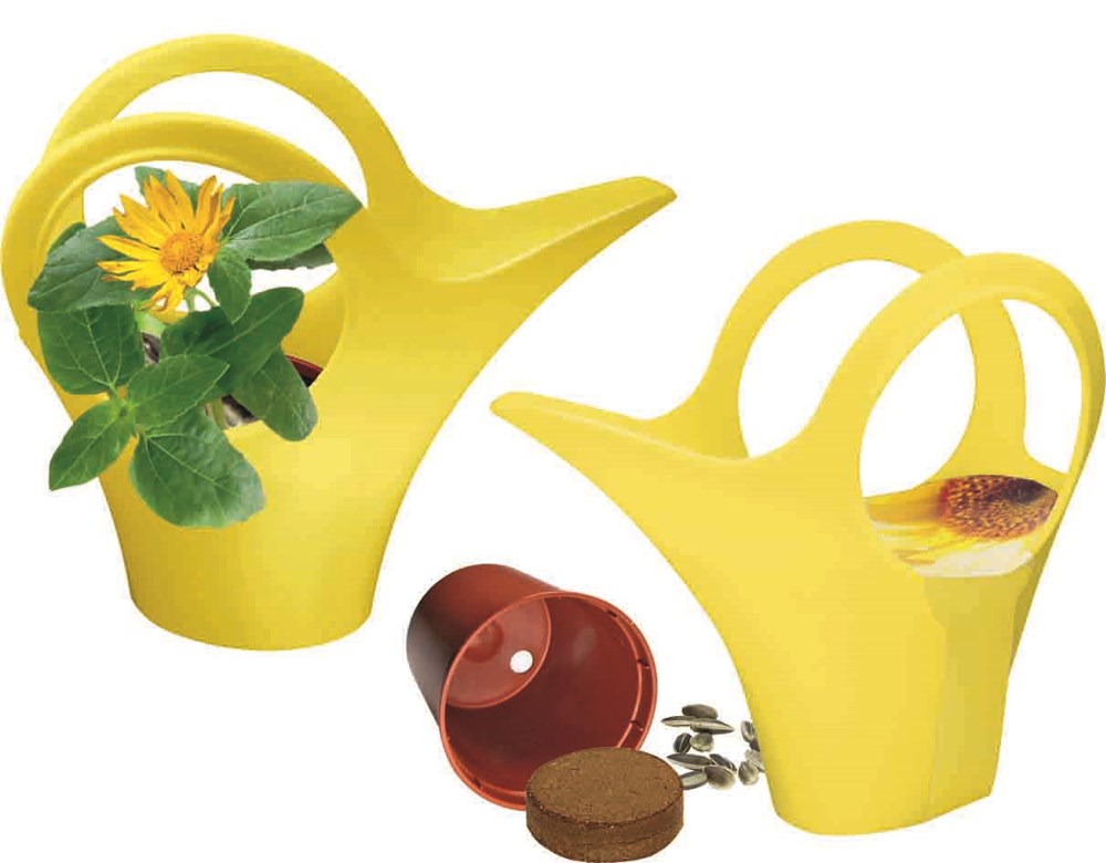 Camilla XS Sonne, Zwergsonnenblume, 1-4 c Digitaldruck inklusive