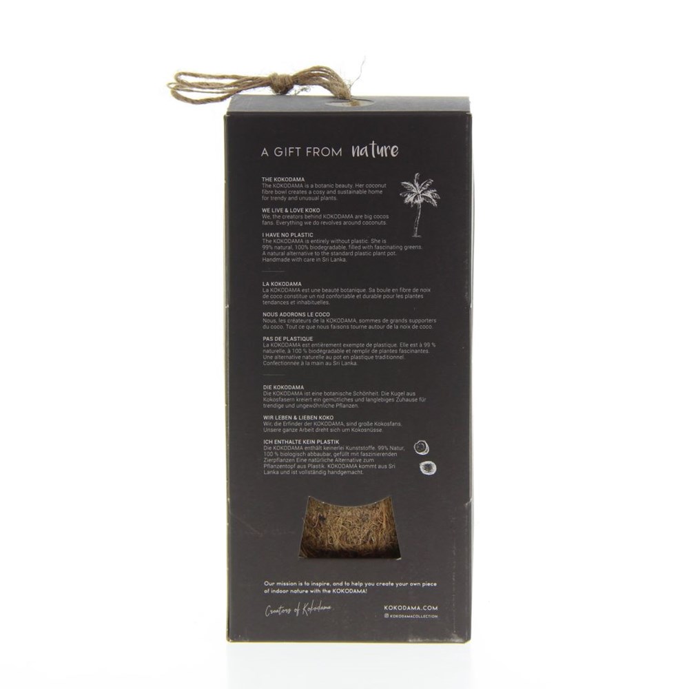 Kokodama® - Christmas tree (S) in giftbox