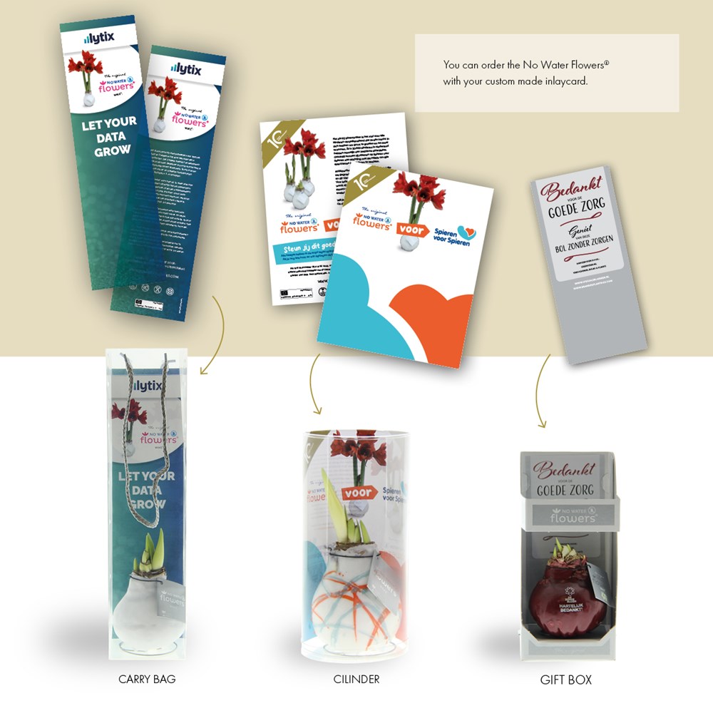 No Water Flowers® - Jingle Bellz, In Geschenkbox, Lila