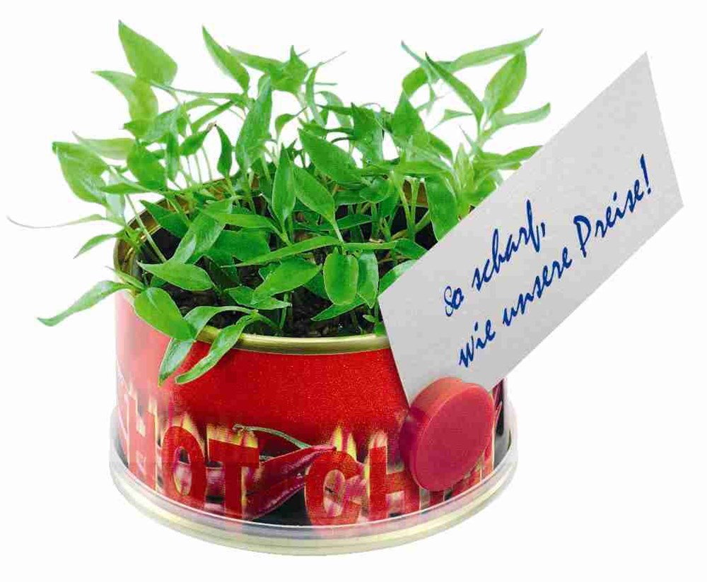 Minigarten Hot mit Magnet, Ø  73 x 38 mm, Chili, 1-4 c Digitaldruck inklusive