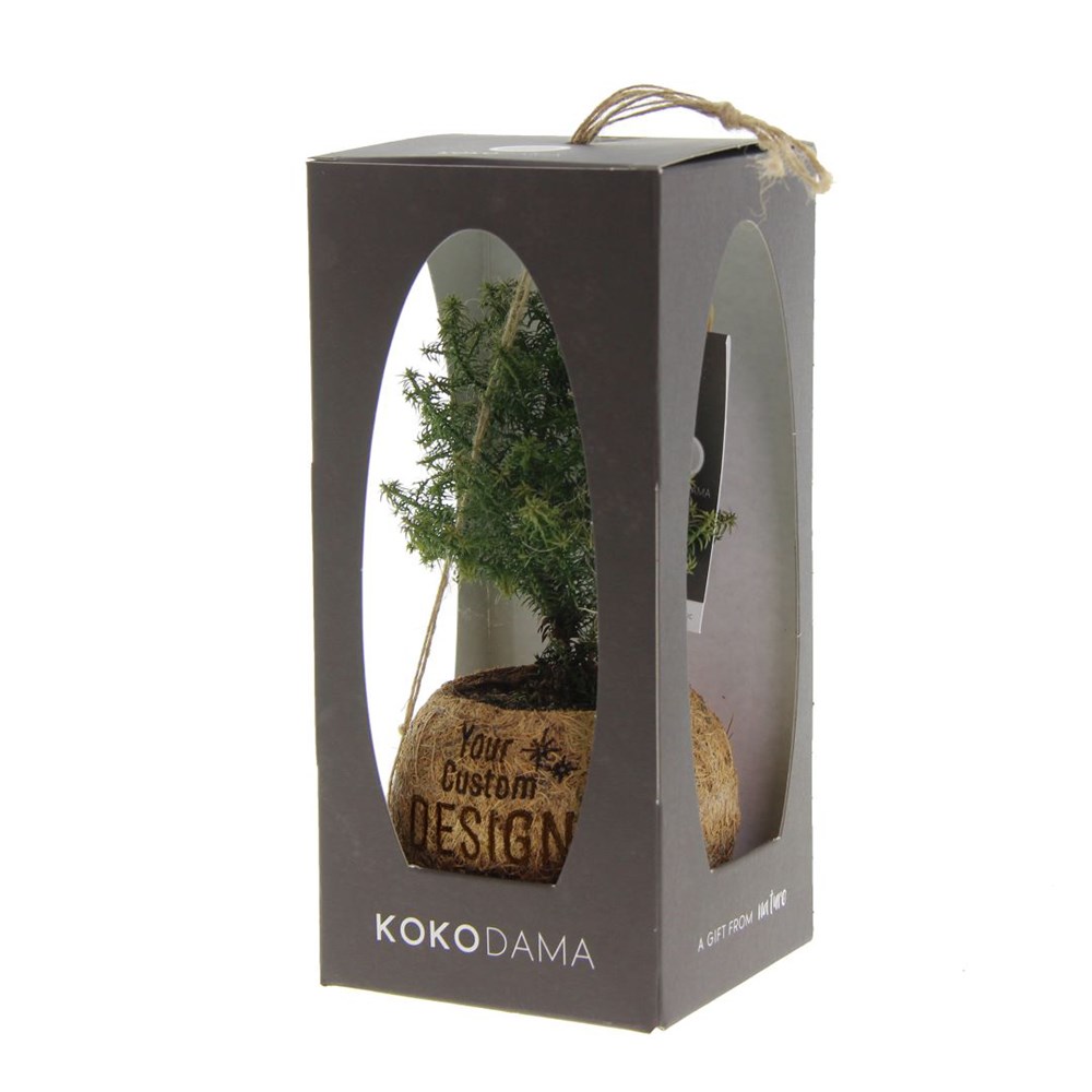 Kokodama® - Christmas tree (S) in giftbox