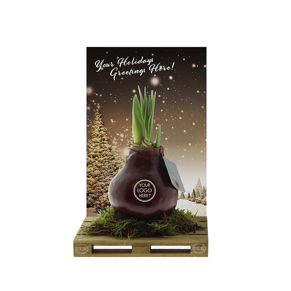 No Water Flowers® - Waxz® on pallet, In Geschenkbox, Schwarz