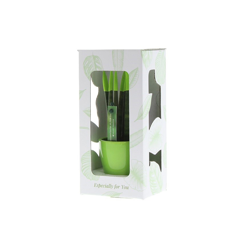 Sansevieria TOP-line - Velvet Touchz® small, In Geschenkbox, Blau